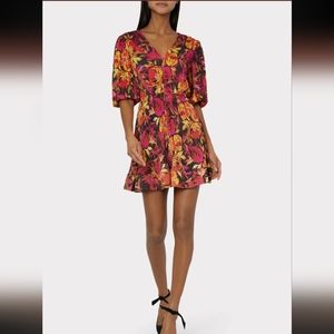 Milly Elle Pleated Print Dress size 4
